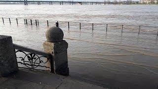 Hochwasser Rheinterrassen Düsseldorf 08.01.2018