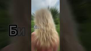Как сделать ВОЛОСЫ и НОГТИ красивыми? Эти 5 добавок работают! #красота #здоровье #волосы