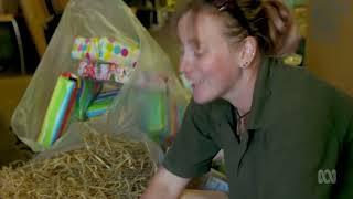 BBC The Zoo series 2 episode 8 - Happy Birthday To Zoo