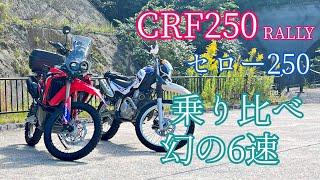 セローとCRFを【乗り比べ】街乗り高速ツーリングどっちが優秀か