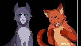 Warrior cat memes / funny