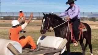 Wild Horse Inmate Program Arizona