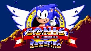 Sonic Hack - Sonic 1 KawariNo