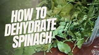 How to Dehydrate Spinach; A Step-by-Step Guide for Beginners Preserve Freshness and Nutrients