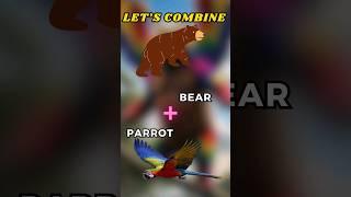 Let's combine bear + parrot, Ep 7