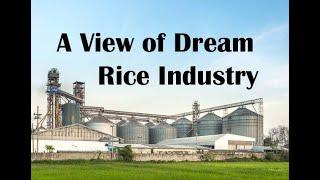 A Dream Rice Mill || Rice Milling on Large scale || What a Rice Mill for Big Production || Rice Mill