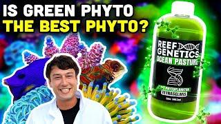 Green Phytoplankton: Enhancing Coral Growth, Culturing Yourself, and MUCH MORE!