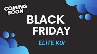 Black Friday to Cyber Monday Koi Deals Teaser – 28 Stunning Koi Sheduled!