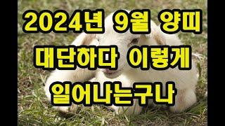 2024년 9월 양띠 운세  대단하다  새로움이 일어나는구나