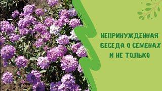Непринужденная беседа о семенах и не только