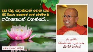 දස බල ඤාණයන්ගෙන් සහ සිව් විශාරද ඤාණයන් ගෙන් සමන්විත වූ තථාගතයන් වහන්සේ | දුතිය දසබල සූත්‍රය