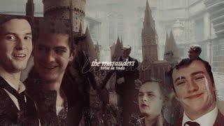 ● the marauders | viva la vida