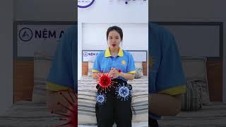 Bí quyết giúp nệm không bị ẩm mốc trong mùa mưa - #shorts