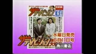 ザ・テレビジョン 1993年6月11日号