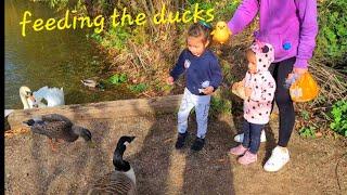 Feeding the ducks in the park