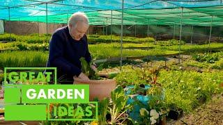 How to Grow ORGANIC Vegetables | GARDEN | Great Home Ideas