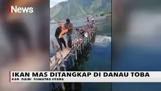 Pemancing Dapat Ikan Mas Raksasa di Danau Toba - iNews Malam 10/08