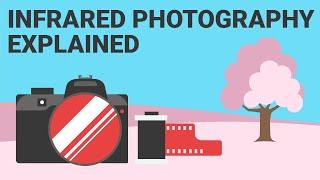 What is Infrared Photography and how can you shoot Infrared yourself