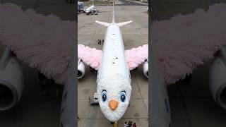 Snowy Bird Plane: Dreamy Flight ️