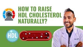 प्राकृतिक रूपमा एचडीएल ( HDL ) कसरी बढाउने? | Raise your HDL in few steps