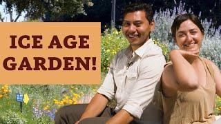 Top 5 Reasons to PLANT an Ice Age Garden