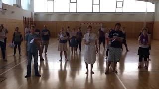Cantus Domus & Charlotte Greve - Sediments We Move (Teaser)
