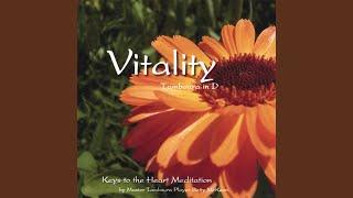 Vitality - Tamboura in D