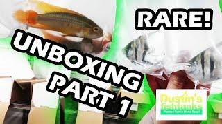 SEGREST RARE AQUARIUM FISH UNBOXING Part 1