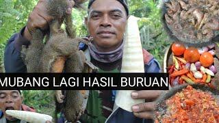 BERBURU HAMA TUPAI LANJUT MUKBANG DI LOKASIH MUAKNYUSS 