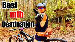 BEST MOUNTAIN BIKE DESTINATION for BEGINNERS to EXPERT North Carolina Dupont Forest MTB trails