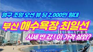 부산 도심 속 해수욕장 최일선 영구 바다 조망 뷰가 평당 2,000만 원대 이 가격 이런 매물 두번 다시 없습니다.#부산부동산 #부산상가매매 #부산토지매매 #급매토지 #신축토지