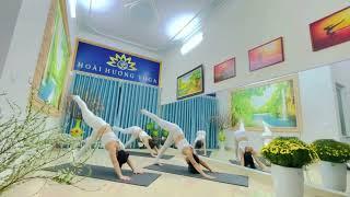 Xuân đã đến rồi - Flow Yoga