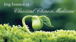 Lia Andrews Show; Dr. Phil Garrison Classical Chinese Medicine & Jing