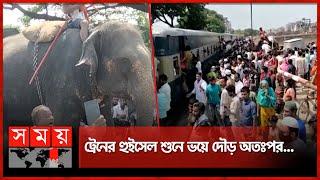 রাজধানীতে ট্রেনে কা-টা পড়ে পোষা হাতির মৃ-ত্যু | Elephant Incident | Dhaka News | Somoy TV