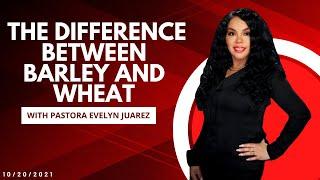 THE DIFFERENCE BETWEEN BARLEY AND WHEAT with Pastor Evelyn Juarez - 10/20/2021