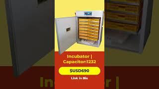 Ultimate Incubator for Large-Scale Egg Hatching