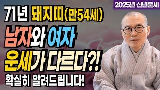 [2025 을사년 운세] 1971년 돼지띠(만54세) 주목! 남자와 여자 운세가 다르다?! 확실히 알려드립니다! [운곡스님의 점찰이야기]