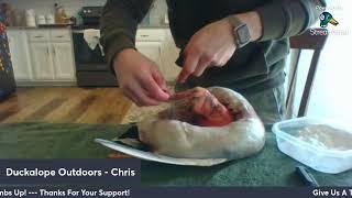 Taxidermy: Skinning A Duck LIVE STREAM!