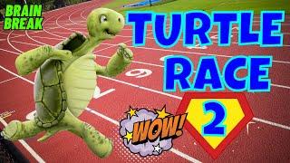 TURTLE RACE 2! BRAIN BREAK. EXERCISE BREAK. MOVEMENT ACTIVITY BETTER THAN FREEZE DANCE/FLOOR IS LAVA