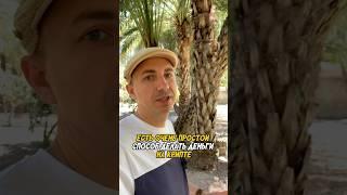 Простой способ делать деньги на крипте #трейдинг #крипта #инвестиции #инвестор #криптовалюта