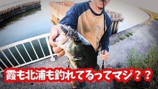 霞ヶ浦 北浦 バス釣り 調子よくなってきたってマジ？？