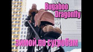 Bugaboo Dragonfly зимний обзор
