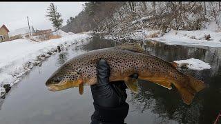 Wisconsin Trout Fishing - 2/6/2022