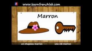 Learn French Lab | Colors in French