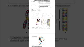 7 сынып биология 4 тоқсан бжб