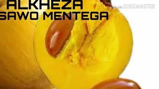 Bibit buah Alkesa atau Sawo Mentega Ready Stok Embun Pagi Sleman Yogyakarta 082173005335