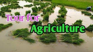 agriculture in tour விவசாயம்