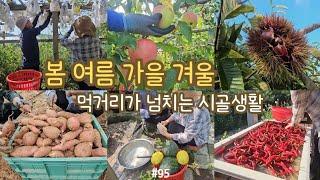 sub) Seasonal Harvests in the Countryside: A Year of Growing and Living Fresh. Korean snacks