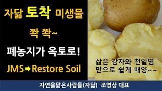 삶은 감자를 이용한 토착미생물 배양액으로 폐농지가 다시 살아나다!  Microorganisms cultivated with boiled potatoes and sea salt