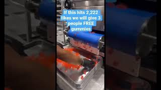 How CBD / THC Gummies are Made | Bloomble  #giveaway #viral #share